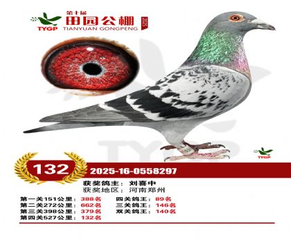 ֣����԰����132��