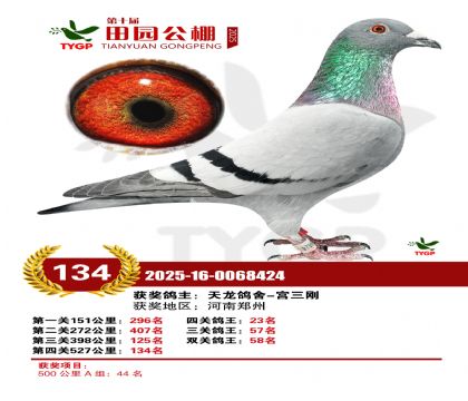 ֣����԰����134��