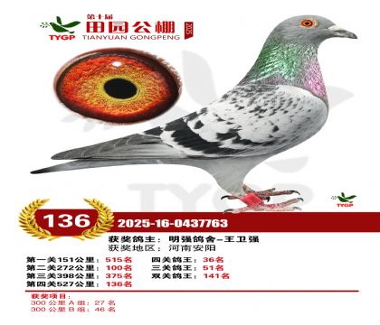 ֣����԰����136��