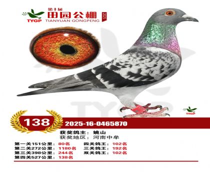 ֣����԰����138��