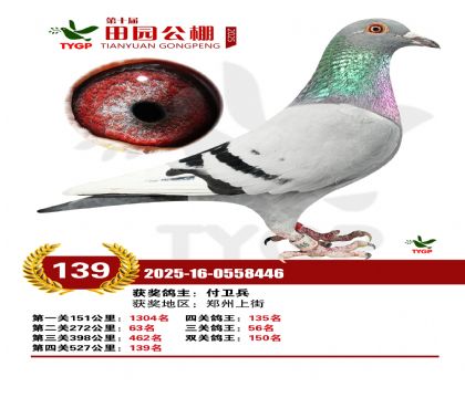 ֣����԰����139��