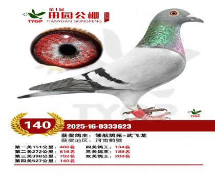 ֣����԰����140��