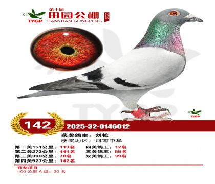 ֣����԰����142��