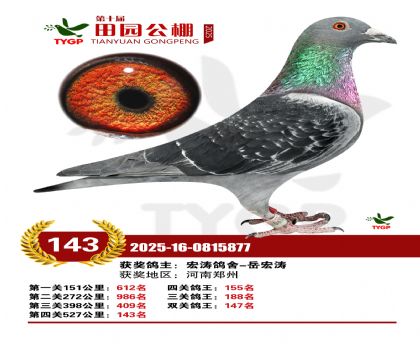 ֣����԰����143��