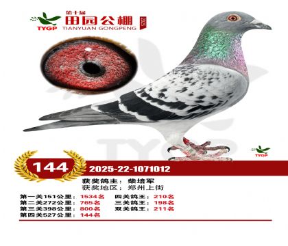 ֣����԰����144��