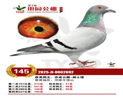 ֣����԰����145��