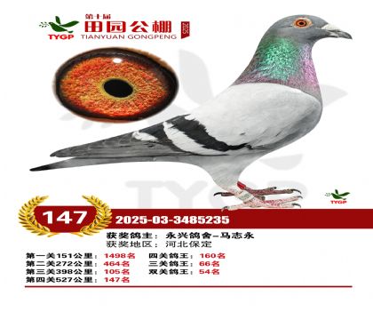 ֣����԰����147��