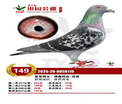 ֣����԰����149��