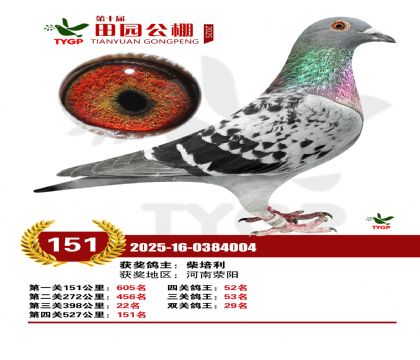 ֣����԰����151��