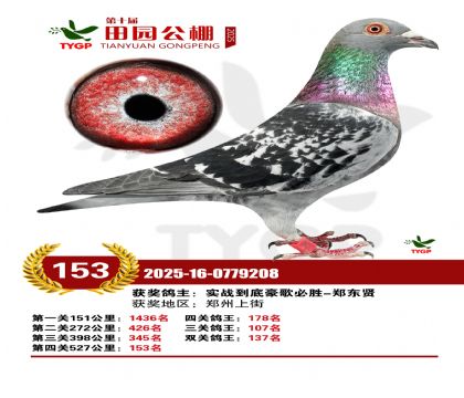 ֣����԰����153��