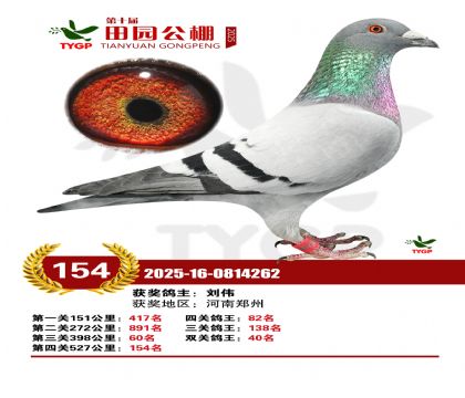 ֣����԰����154��