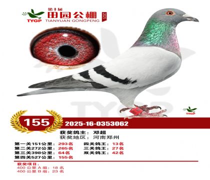 ֣����԰����155��