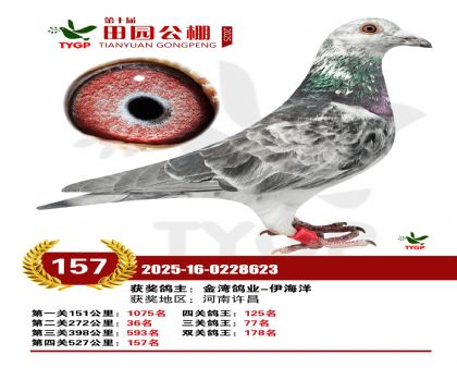 ֣����԰����157��