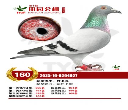 ֣����԰����160��