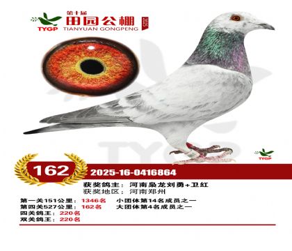 ֣����԰����162��