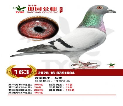 ֣����԰����163��