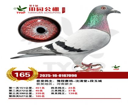 ֣����԰����165��