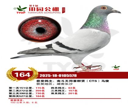 ֣����԰����164��