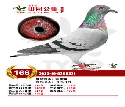 ֣����԰����166��