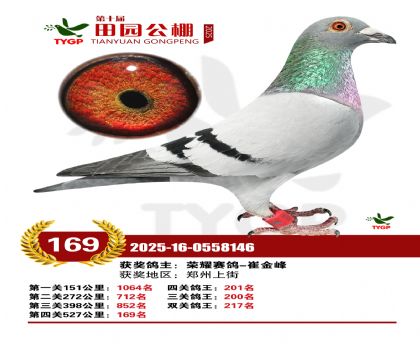 ֣����԰����169��