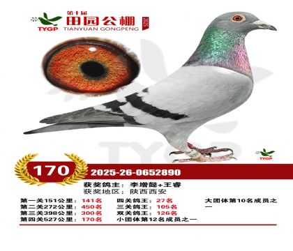 ֣����԰����170��