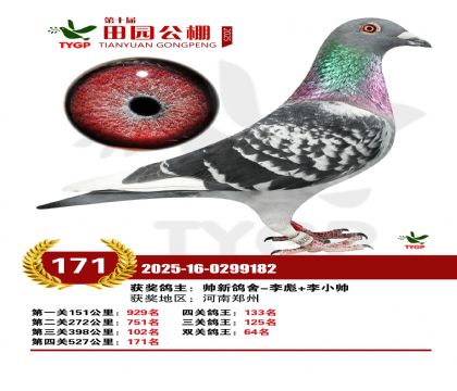 ֣����԰����171��