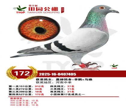 ֣����԰����172��