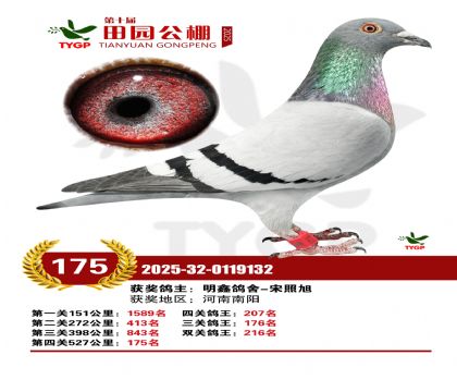 ֣����԰����175��