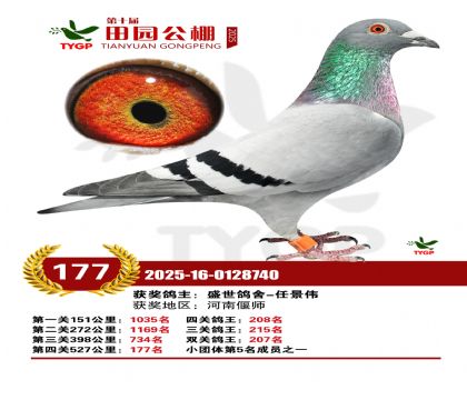 ֣����԰����177��