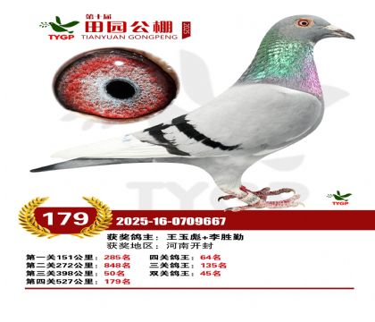 ֣����԰����179��