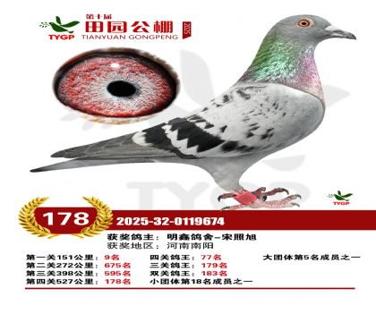 ֣����԰����178��