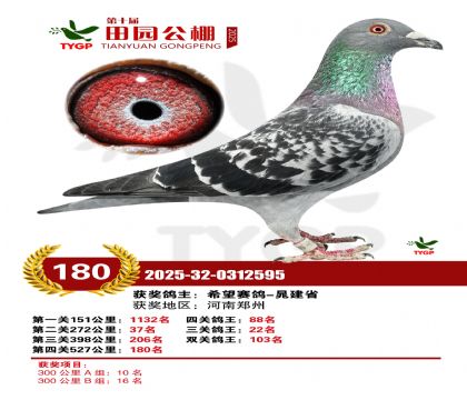 ֣����԰����180��