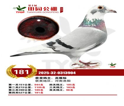 ֣����԰����181��