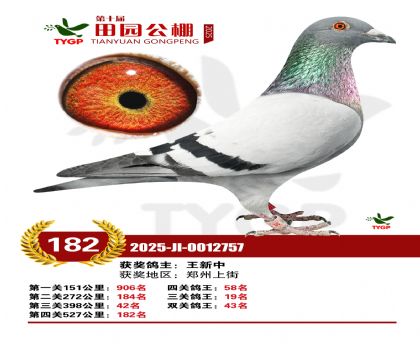 ֣����԰����182��