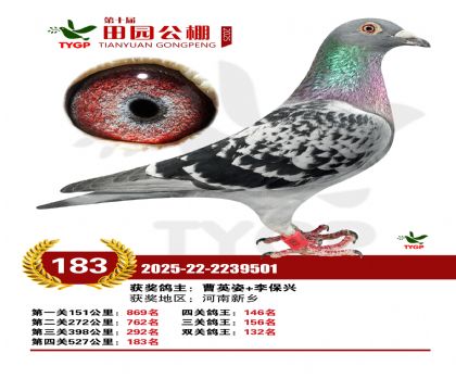 ֣����԰����183��