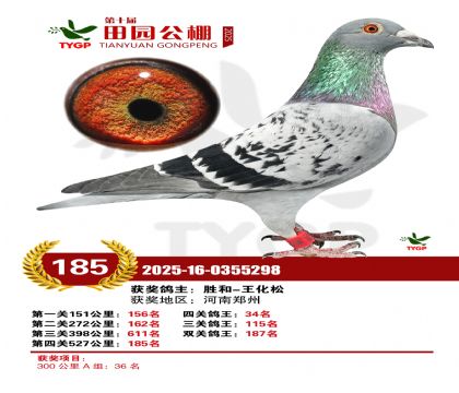 ֣����԰����185��