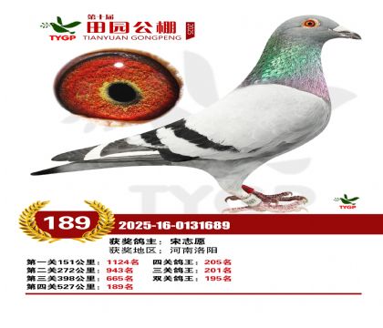 ֣����԰����189��