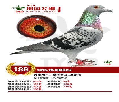 ֣����԰����188��