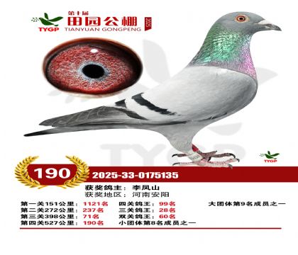 ֣����԰����190��