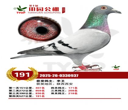 ֣����԰����191��