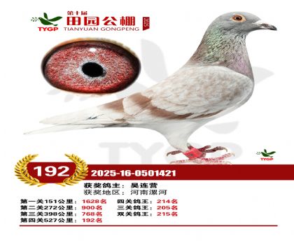 ֣����԰����192��