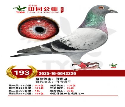 ֣����԰����193��