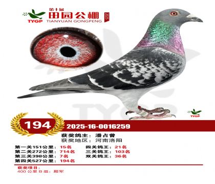 ֣����԰����194��