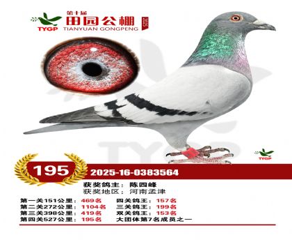 ֣����԰����195��