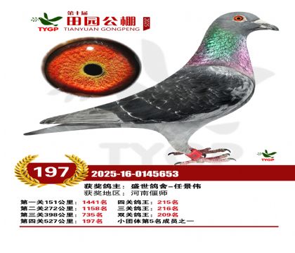 ֣����԰����197��