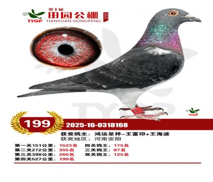 ֣����԰����199��