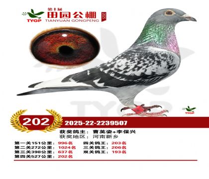 ֣����԰����202��