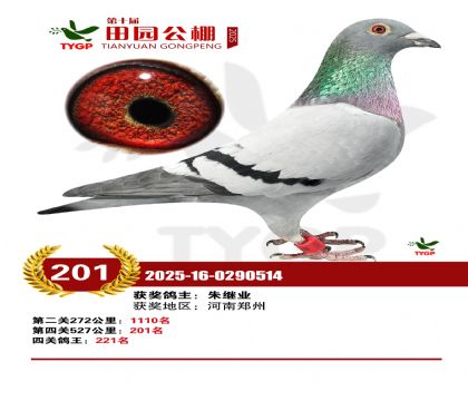 ֣����԰����201��