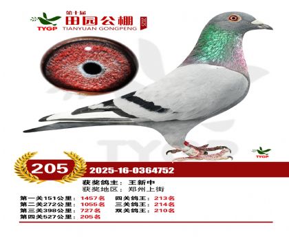 ֣����԰����205��