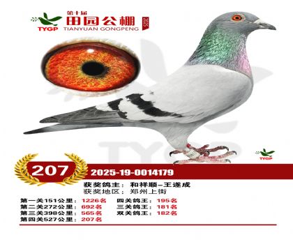 ֣����԰����207��